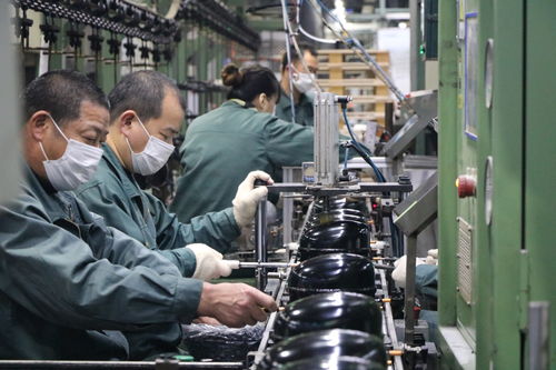 海外訂單激增，長虹電視與冰空洗產品同比大幅增長，網絡技術服務助力業務拓展